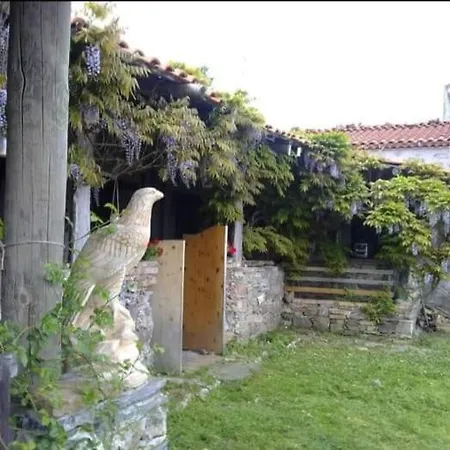 Aquilaverde *